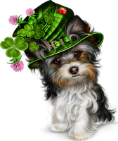 st. patrick's day dog